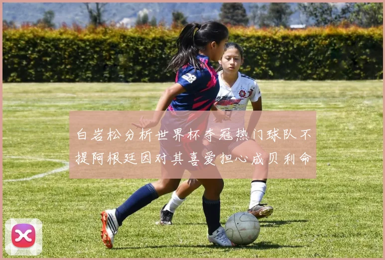 白岩松分析世界杯夺冠热门球队不提阿根廷因对其喜爱担心成贝利命运