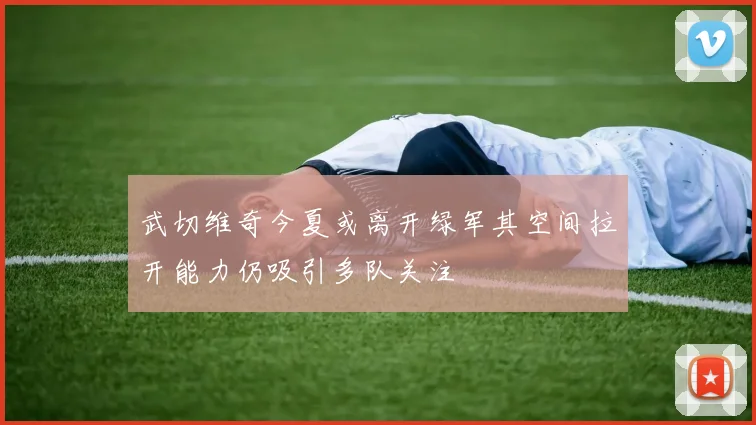 武切维奇今夏或离开绿军其空间拉开能力仍吸引多队关注